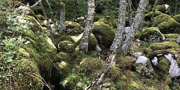 092-Pod ledovcem Briksdalsbreen