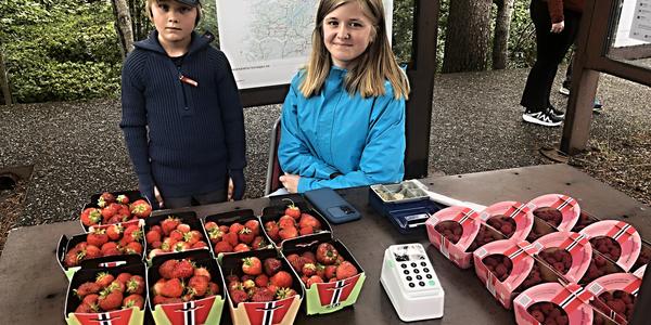 117-Gudbrandsjuvet, podnikavé děti 7 a 11 let