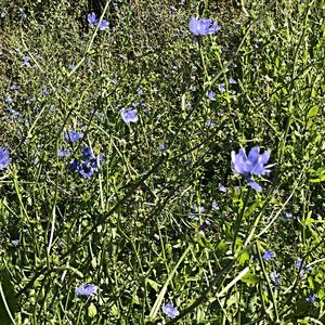 145-Lillehammer, skanzen Maihaugen