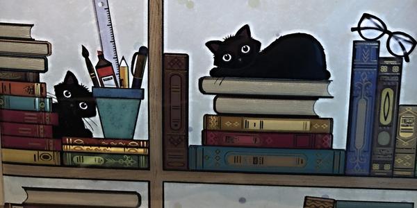 192-Oslo, víceúčelová veřejná knihovna