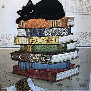 193-Oslo, víceúčelová veřejná knihovna