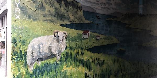 014-Reykjavík, na ulici