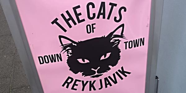 018-Reykjavík, živou kočku zde neuvidíte, jen takto...