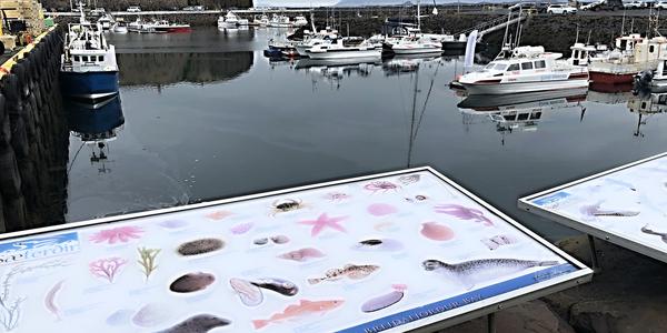 046-Snaefellsnes, Stykkishólmur e