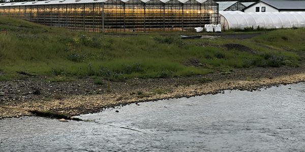 079-Flúdir, skleníky u Secret Lagoon