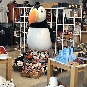 014-Reykjavík, papuchalci všude