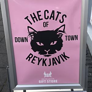 023-Reykjavík, The cats