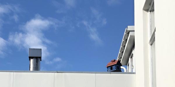 033-Reykjavík, v centru města