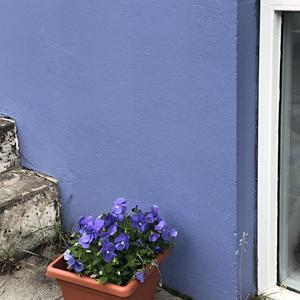 035-Reykjavík, v centru města