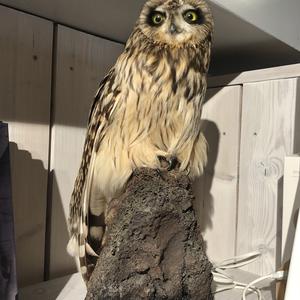 063-V infocentru u Gulfossu