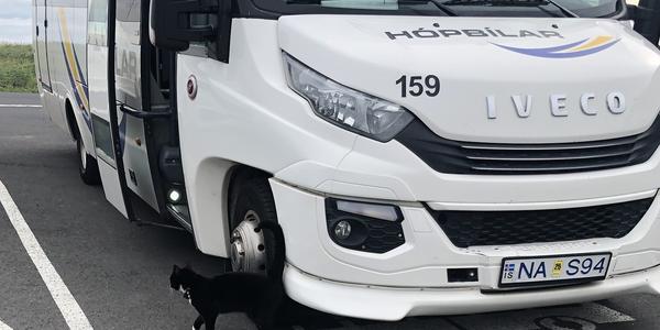 085-A kočička tamtéž