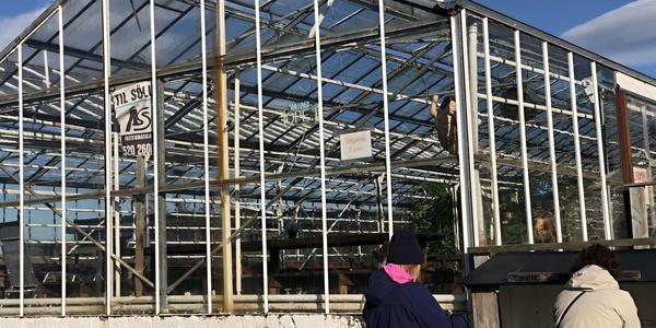 097-Deidaltunguhver, skleníky na prodej