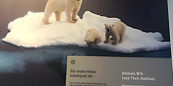 130-Reykjavík, Perlan