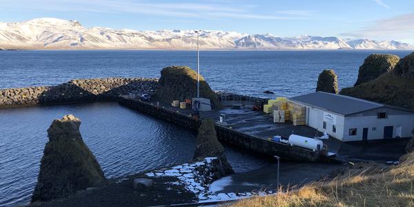 022-Snaefellsness, Arnarstapi