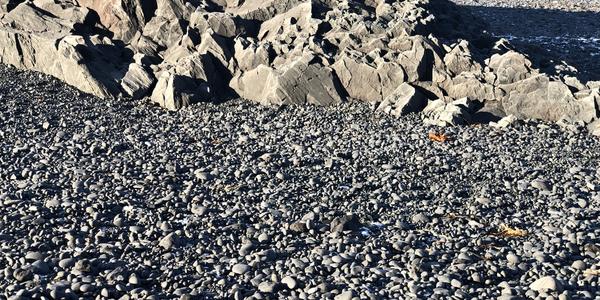 032-Snaefellsness, Djúpallónsandur