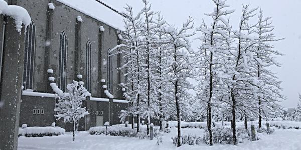 065-Reykjavík, Hallgrímskirkja