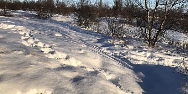 090-Sníh na Geysiru