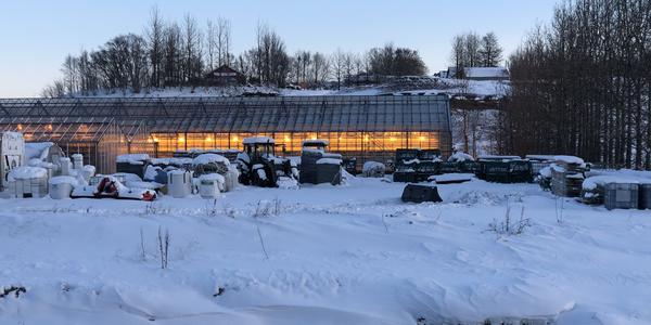097-Skleníky u Secret lagoon, Flúdir