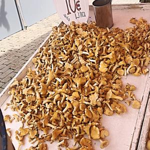 008-Helsinki, tržiště Kaupatori