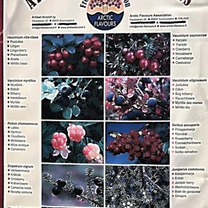 052-Helsinki, tržiště Kaupatori