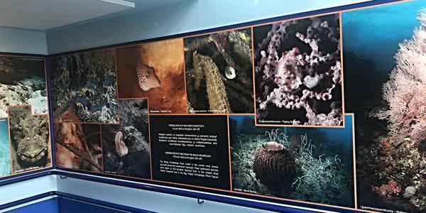 061-Helsinki, Sea Life centrum