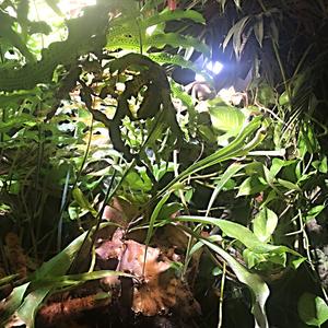 063-Helsinki, Sea Life centrum