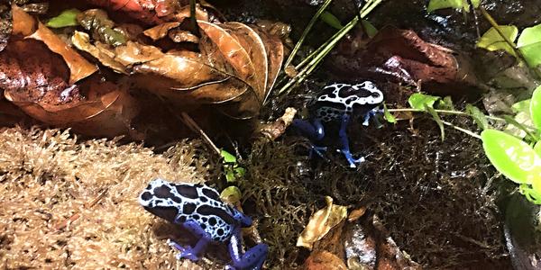 064-Helsinki, Sea Life centrum