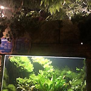 065-Helsinki, Sea Life centrum