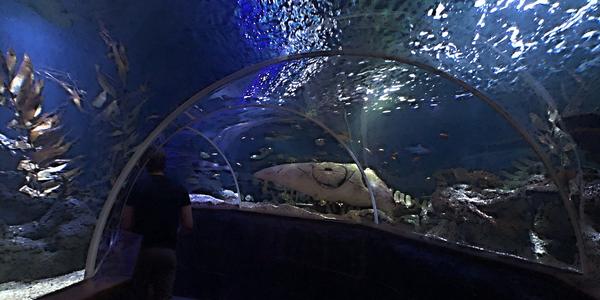 067-Helsinki, Sea Life centrum