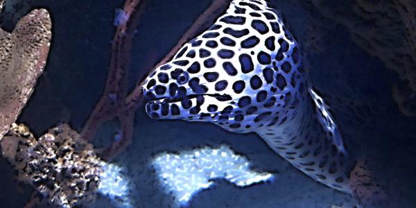 070-Helsinki, Sea Life centrum