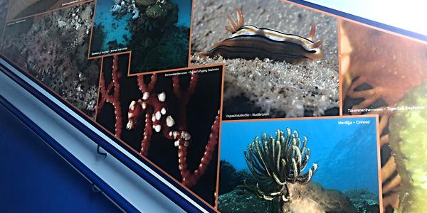 071-Helsinki, Sea Life centrum