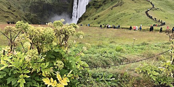 041-Vodopád Skógafoss