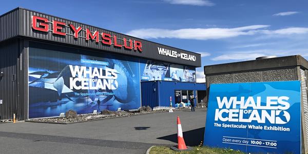 096-Reykjavík, Grandi, ani expozici o velrybách