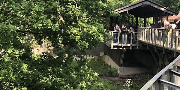 067-Stockholm, Skansen, trocha historie a přírody