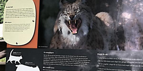 070-Stockholm, Skansen, trocha historie a přírody