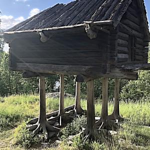 072-Stockholm, Skansen, trocha historie a přírody