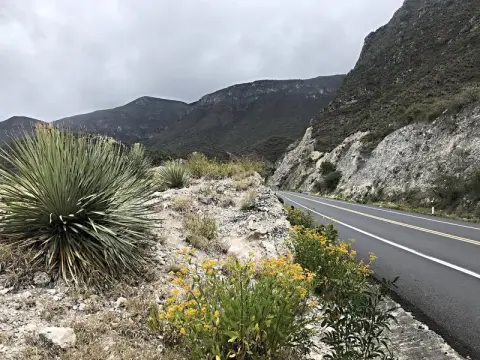 Krajina cestou do Oaxaca
