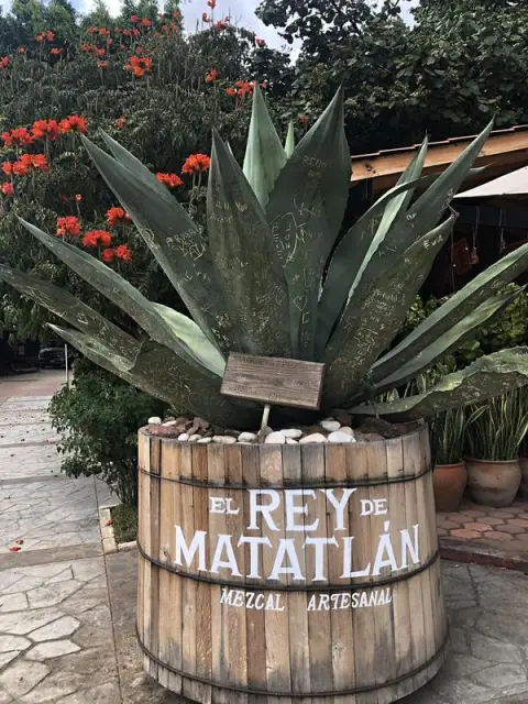 Zastávka ve výrobně mezcalu
