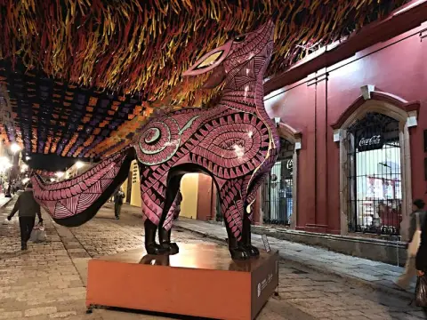 Oaxaca, na ulici