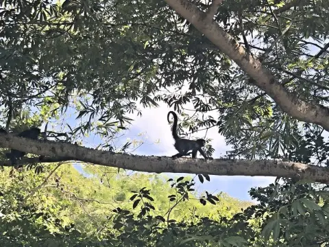 Chiapas, kaňon Sumidero