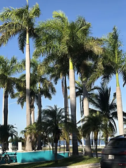 Campeche, Malecón