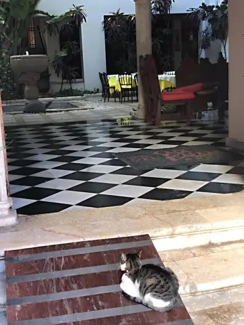 Mérida, chci dovnitř