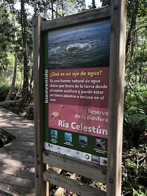 BR Celestún