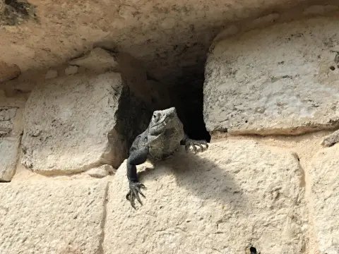 Chichen Itza