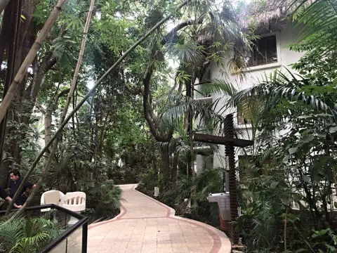 Playa Carmen, hotelová zahrada