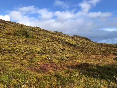 Thingvellir