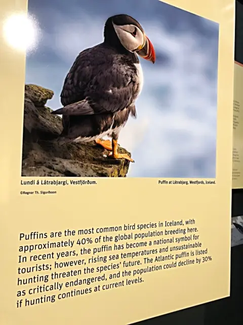 Reykjavík, expozice v Perlaan
