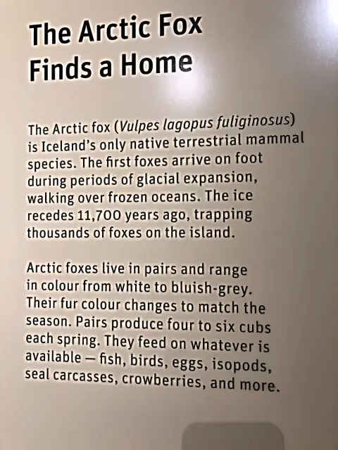 Reykjavík, expozice v Perlaan