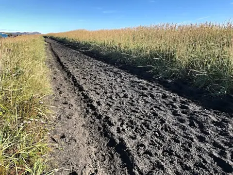 Vík y Mýrdal, oblíbená stezka pro vyjíždˇky na koních