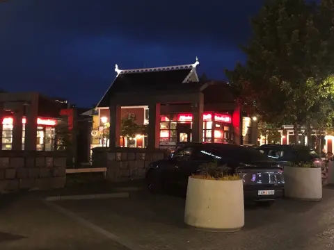 Reykjavík, Falcon house